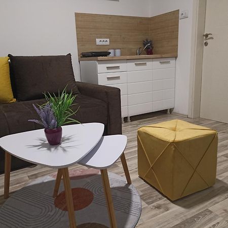 Vikendica Apartments Dunav Ms Celarevo Extérieur photo