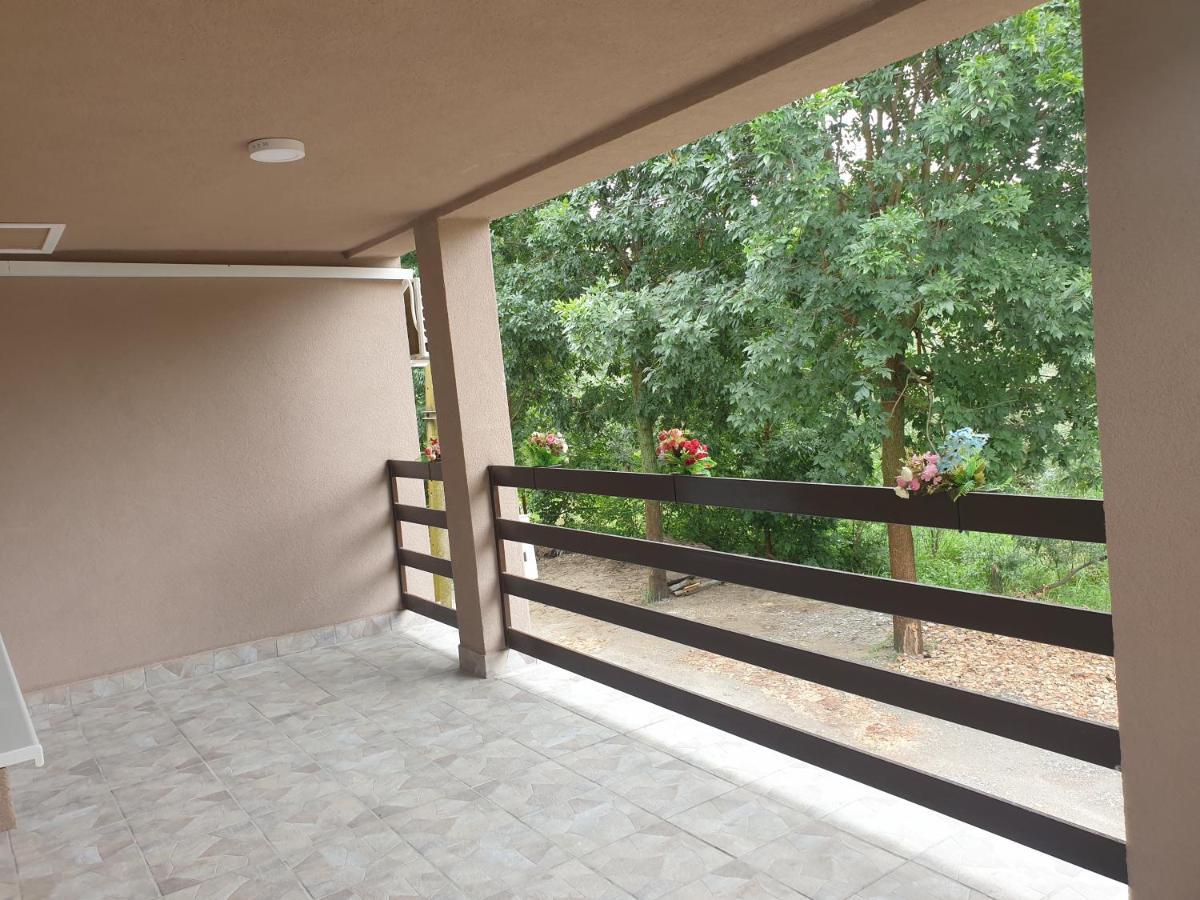 Vikendica Apartments Dunav Ms Celarevo Extérieur photo