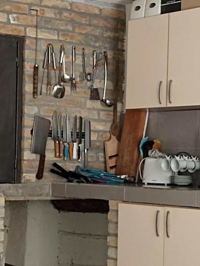 Vikendica Apartments Dunav Ms Celarevo Extérieur photo